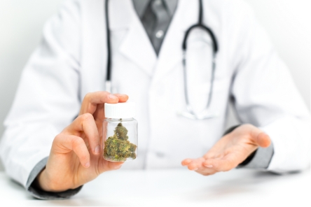 Arzt hält medizinisches Cannabis in seiner Hand