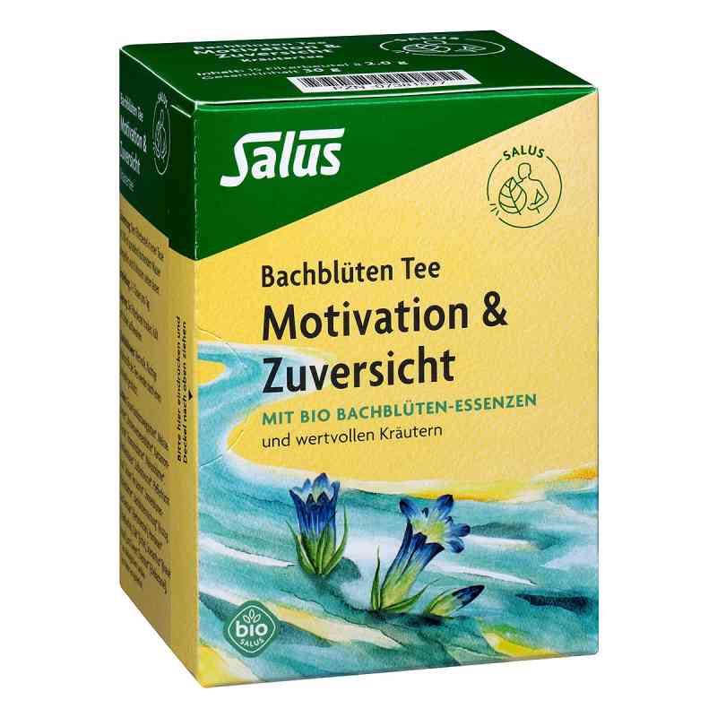 Bachblüten Tee Motivation & Zuversicht 15 stk von SALUS Pharma GmbH PZN 07381577