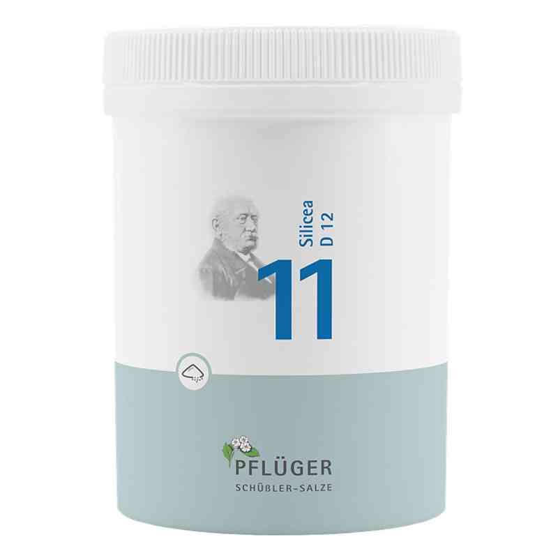 Biochemie Pflüger 11 Silicea D12 Pulver 250 g von Homöopathisches Laboratorium Alexander Pflüger Gmb PZN 16522545