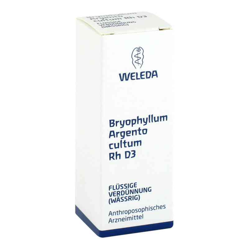 Bryophyllum Argento Cultum Rh D3 Dilution 20 ml von WELEDA AG PZN 01629711