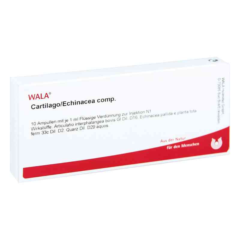 Cartilago/echinacea compositus Ampullen 10X1 ml von WALA Heilmittel GmbH PZN 02085319