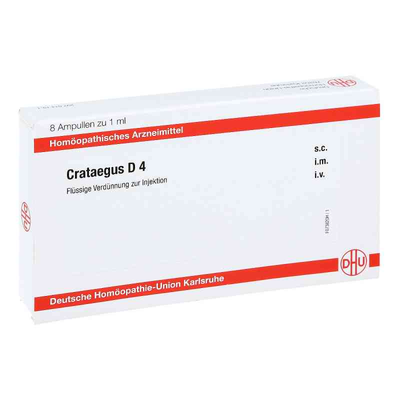 Crataegus D4 Ampullen 8X1 ml von DHU-Arzneimittel GmbH & Co. KG PZN 11705465