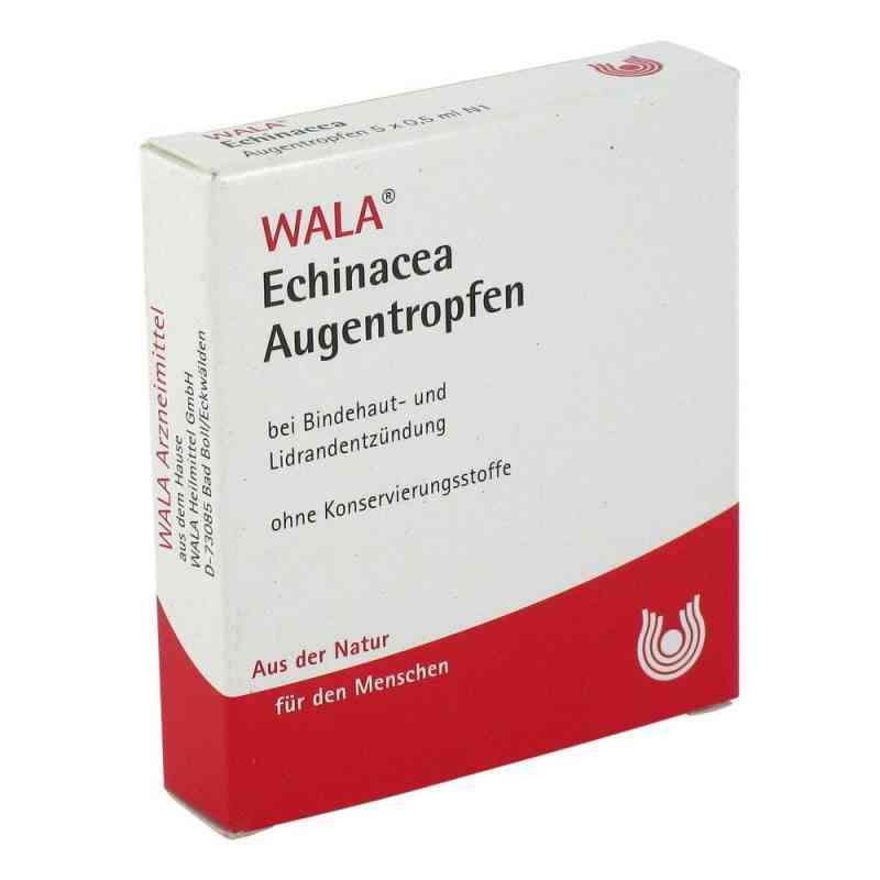 Echinacea Augentropfen 5X0.5 ml von WALA Heilmittel GmbH PZN 01448139