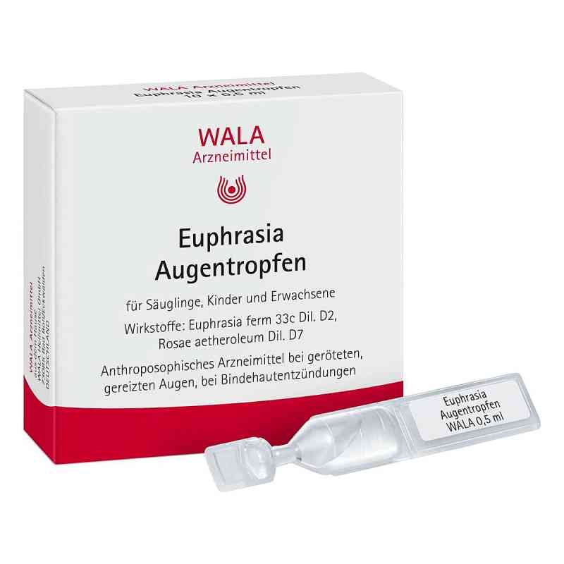 Euphrasia Augentropfen 10X0.5 ml von WALA Heilmittel GmbH PZN 06816435