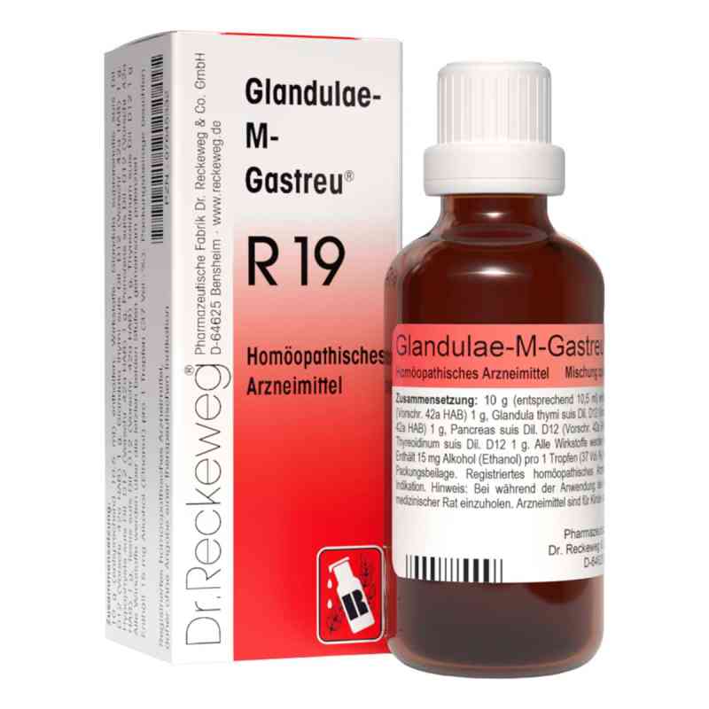 Glandulae M Gastreu R 19 Tropfen zum Einnehmen 50 ml von Dr.RECKEWEG & Co. GmbH PZN 07645332