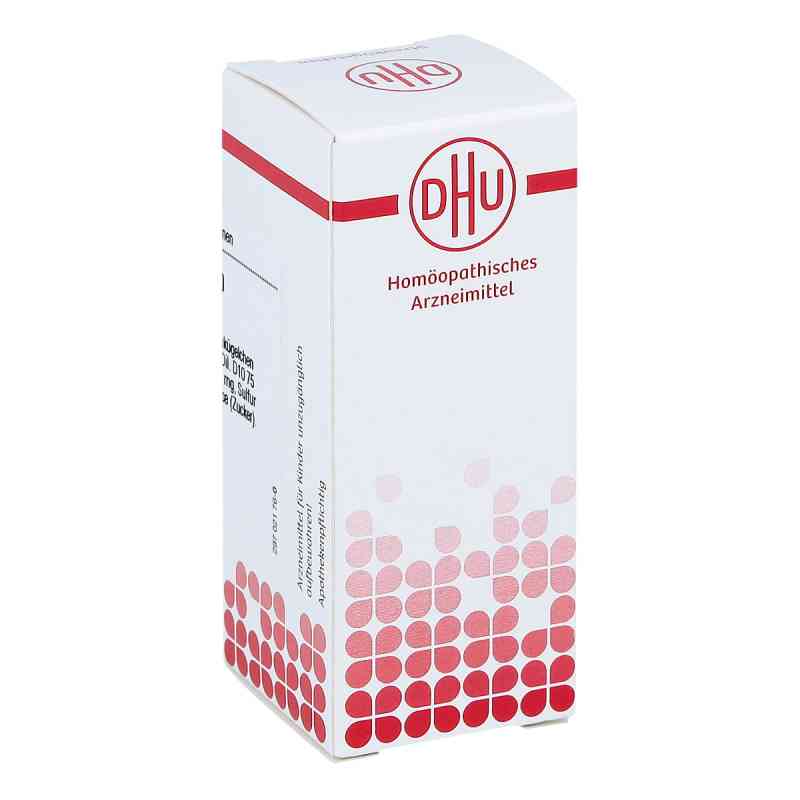 Gunpowder compositus D10 Globuli 10 g von DHU-Arzneimittel GmbH & Co. KG PZN 04655643