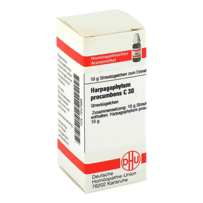 Harpagophytum Proc. C30 Globuli 10 g von DHU-Arzneimittel GmbH & Co. KG PZN 07247689
