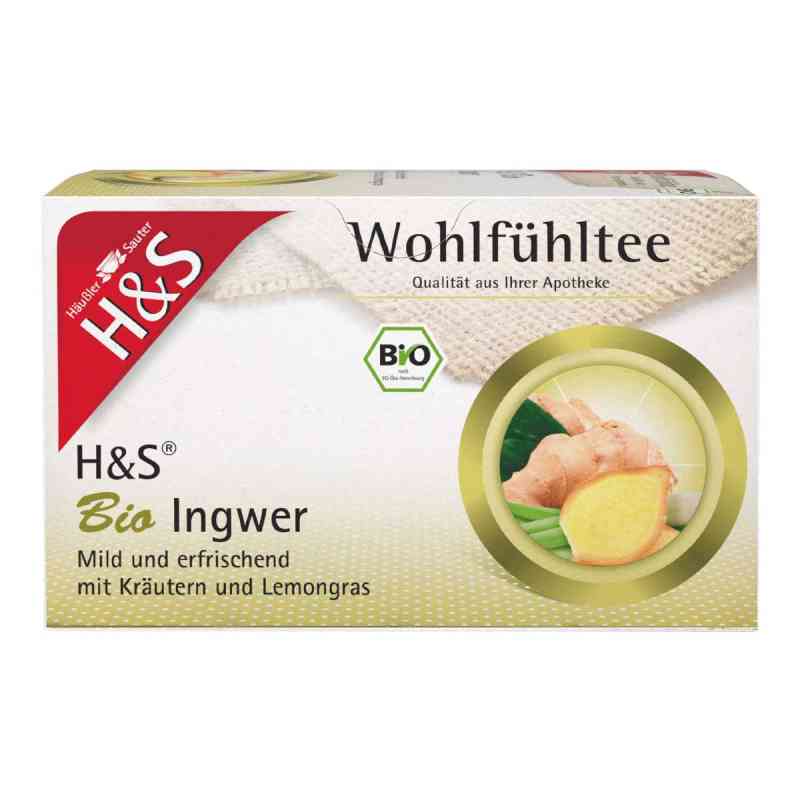 H&s Ingwer Filterbeutel 20X2.0 g von H&S Tee - Gesellschaft mbH & Co. PZN 06582405