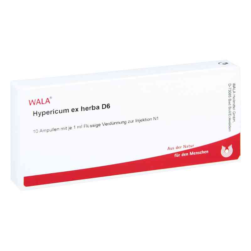 Hypericum Ex Herba D6 Ampullen 10X1 ml von WALA Heilmittel GmbH PZN 02879290
