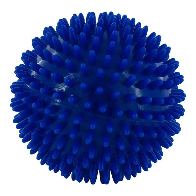 Igelball 10cm blau 1 stk von Rehaforum Medical GmbH PZN 00211553