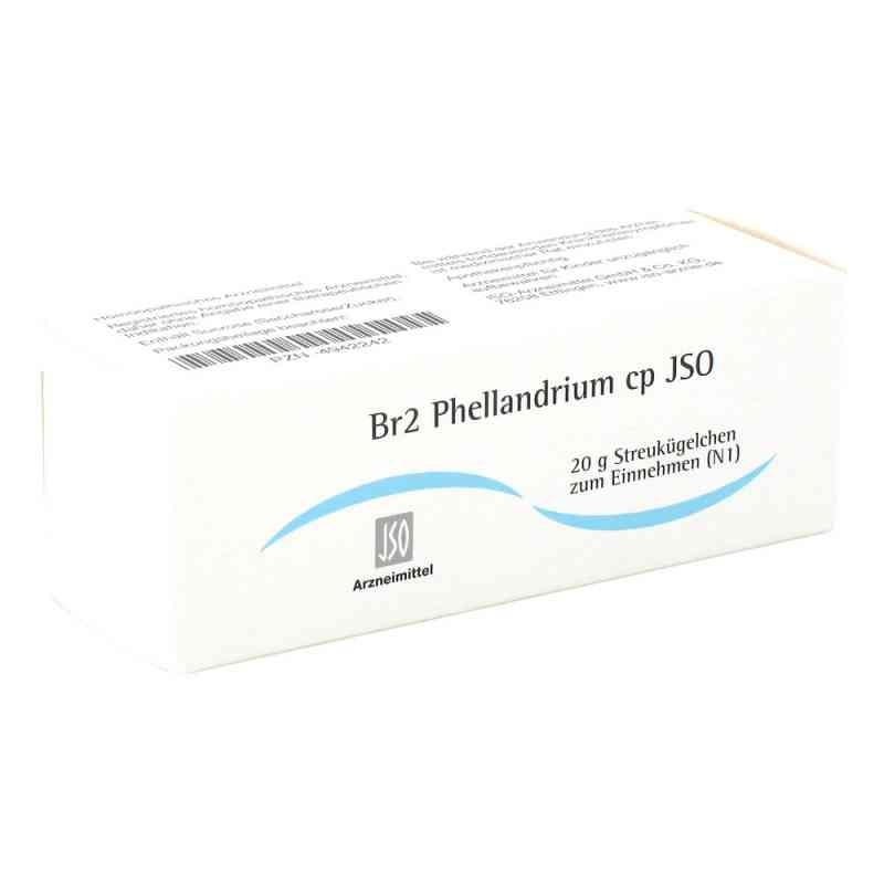 Jso Jkh Brustmittel Br 2 Phellandrium cp Globuli 20 g von ISO-Arzneimittel GmbH & Co. KG PZN 04942242