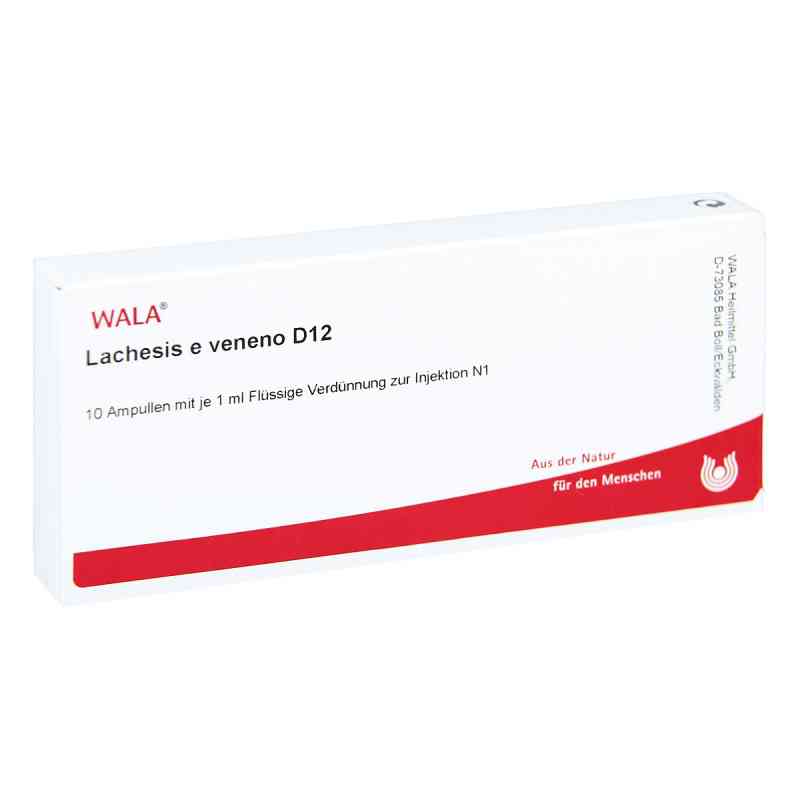 Lachesis E Veneno Gl D12 Ampullen 10X1 ml von WALA Heilmittel GmbH PZN 02884799
