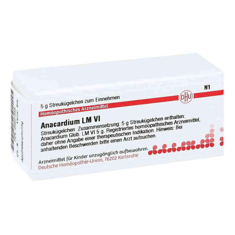 Lm Anacardium Vi Globuli 5 g von DHU-Arzneimittel GmbH & Co. KG PZN 04501555