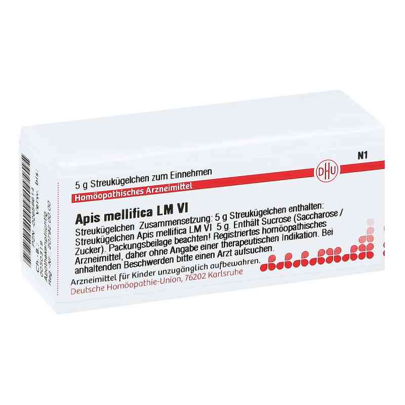 Lm Apis Mellifica Vi Globuli 5 g von DHU-Arzneimittel GmbH & Co. KG PZN 02658614