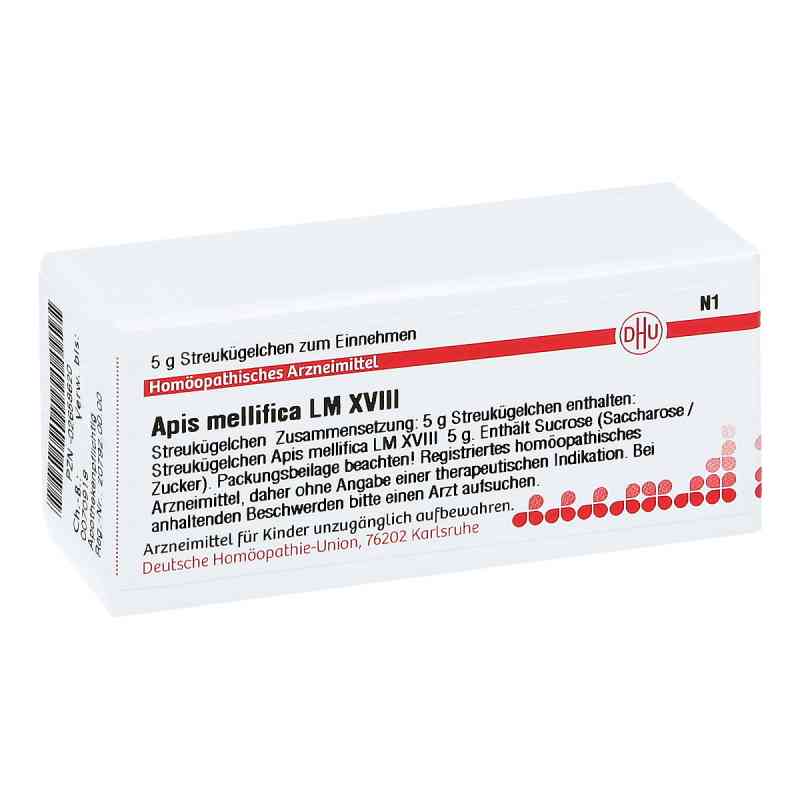 Lm Apis Mellifica Xviii Globuli 5 g von DHU-Arzneimittel GmbH & Co. KG PZN 02658620
