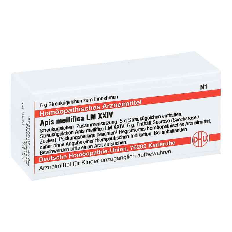 Lm Apis Mellifica Xxiv Globuli 5 g von DHU-Arzneimittel GmbH & Co. KG PZN 02676687