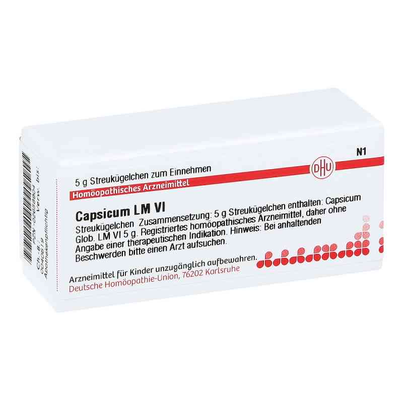 Lm Capsicum Vi Globuli 5 g von DHU-Arzneimittel GmbH & Co. KG PZN 02658904