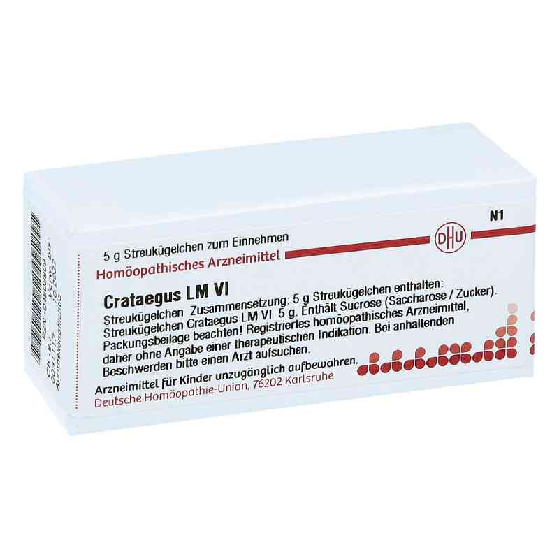 Lm Crataegus Vi Globuli 5 g von DHU-Arzneimittel GmbH & Co. KG PZN 04503809