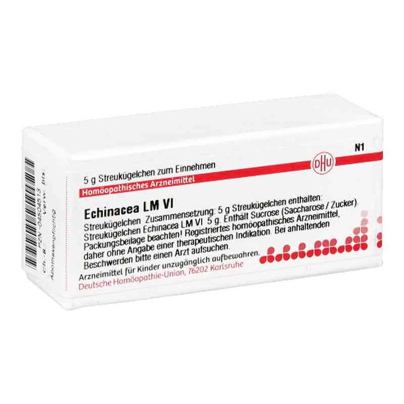 Lm Echinacea Hab Vi Globuli 5 g von DHU-Arzneimittel GmbH & Co. KG PZN 04504513