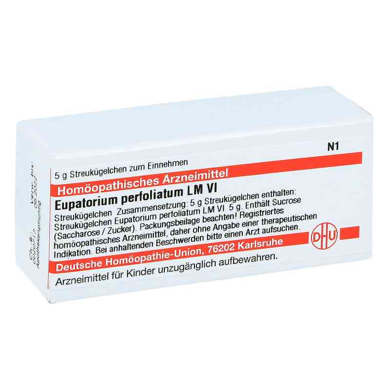 Lm Eupatorium Perf. Vi Globuli 5 g von DHU-Arzneimittel GmbH & Co. KG PZN 04504571