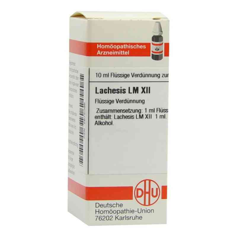 Lm Lachesis Xii 10 ml von DHU-Arzneimittel GmbH & Co. KG PZN 02675096
