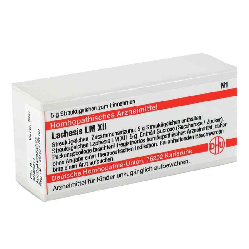 Lm Lachesis Xii Globuli 5 g von DHU-Arzneimittel GmbH & Co. KG PZN 02678195