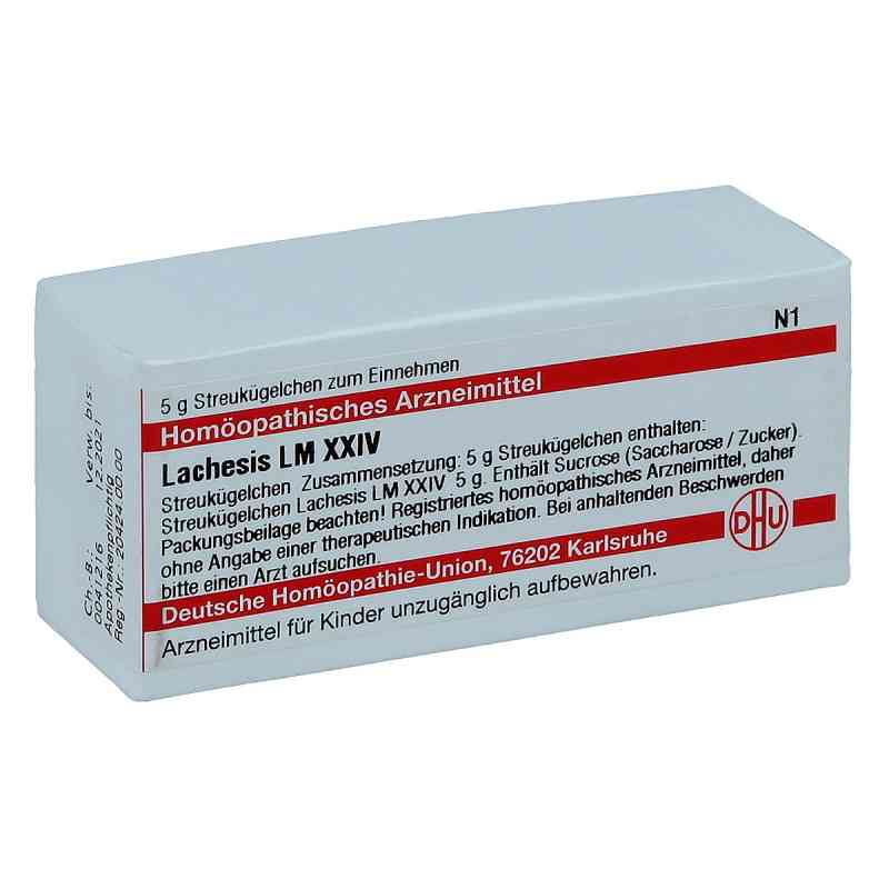 Lm Lachesis Xxiv Globuli 5 g von DHU-Arzneimittel GmbH & Co. KG PZN 02678203