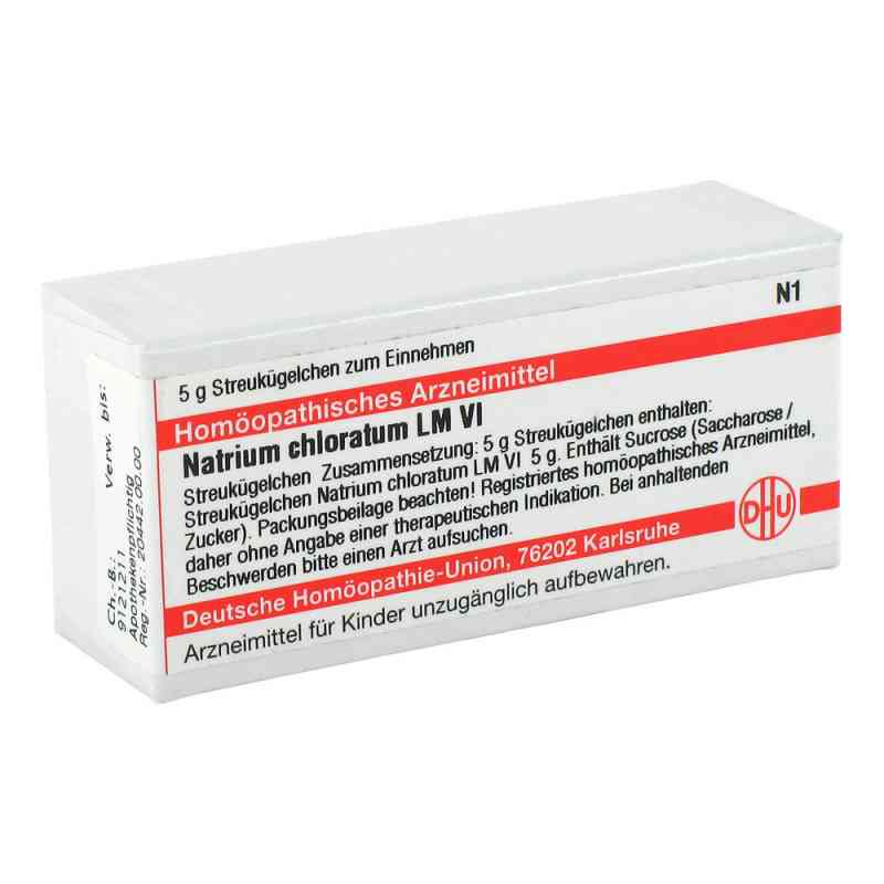 Lm Natrium Chloratum Vi Globuli 5 g von DHU-Arzneimittel GmbH & Co. KG PZN 02659789