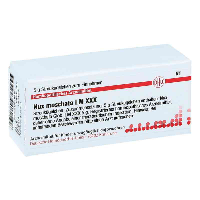 Lm Nux Moschata Xxx Globuli 5 g von DHU-Arzneimittel GmbH & Co. KG PZN 02678580