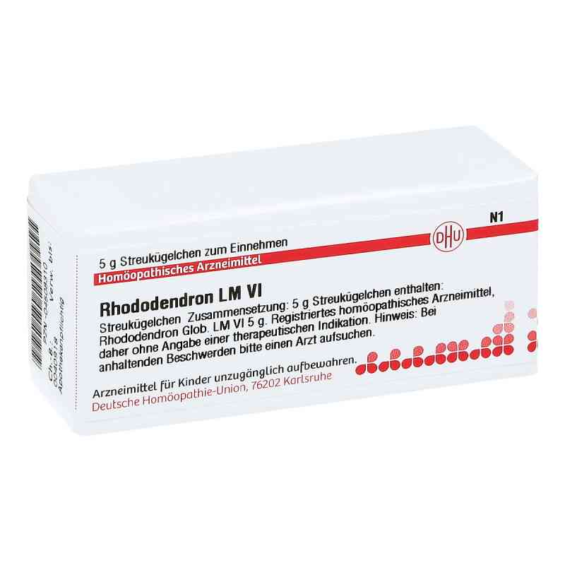 Lm Rhododendron Vi Globuli 5 g von DHU-Arzneimittel GmbH & Co. KG PZN 04508310