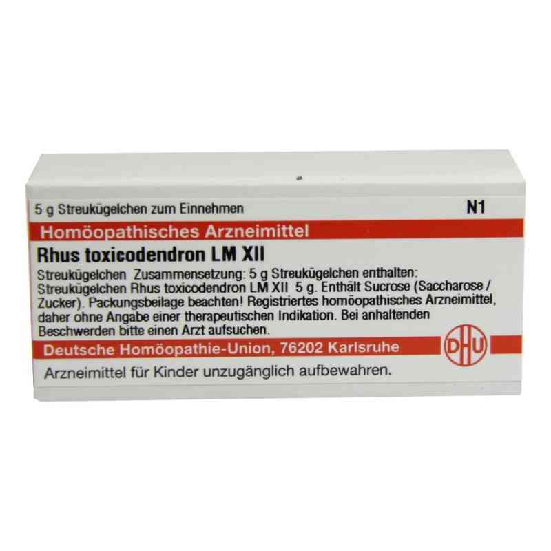 Lm Rhus Tox. Xii Globuli 5 g von DHU-Arzneimittel GmbH & Co. KG PZN 02678769