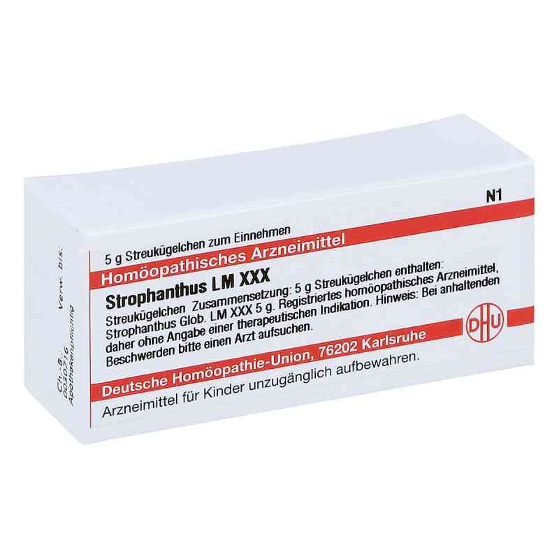 Lm Strophantus Xxx Globuli 5 g von DHU-Arzneimittel GmbH & Co. KG PZN 04509628