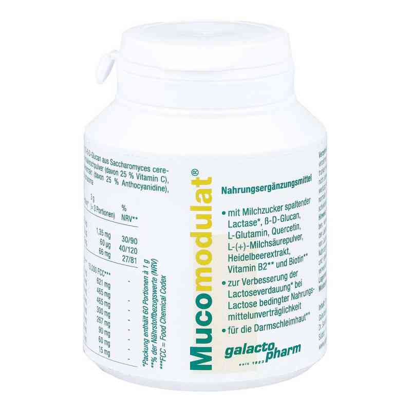 Mucomodulat 60 g von Galactopharm Dr. Sanders GmbH & Co. KG. PZN 11601263