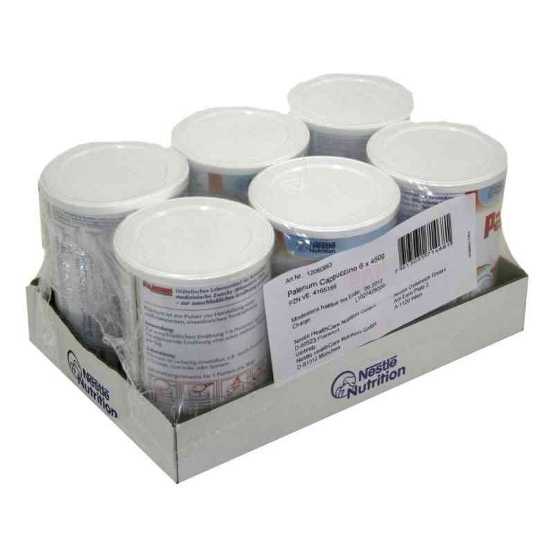 Palenum Cappucino Pulver 6X450 g von Nestle Health Science (Deutschland) GmbH PZN 04165169