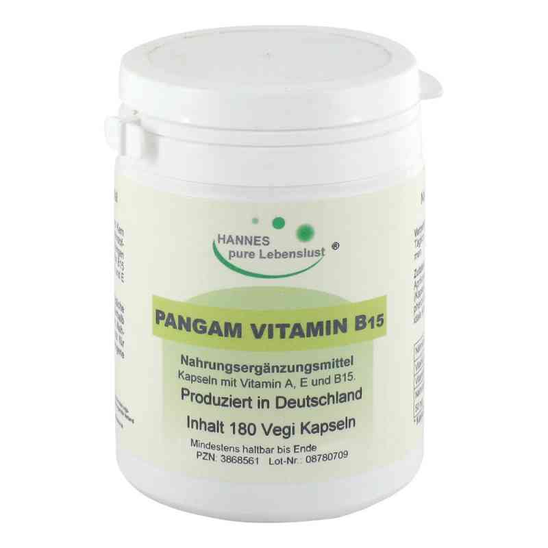 Pangam Vitamin B15 Vegi Kapseln 180 stk von G & M Naturwaren Import GmbH & Co. KG PZN 03868561