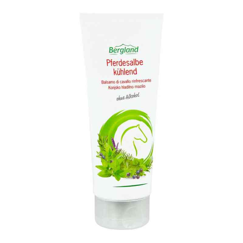 Pferdesalbe kühlend 200 ml von Bergland GmbH PZN 14142034