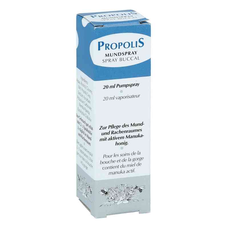 Propolis Pumpspray 20 ml von Health Care Products Vertriebs G PZN 00632846