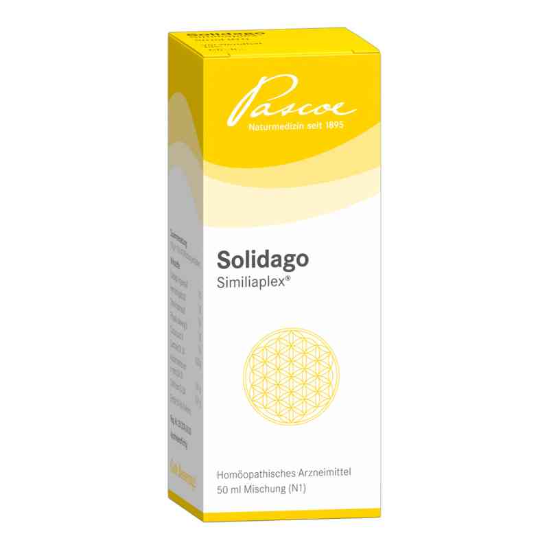 Solidago Similiaplex Tropfen 50 ml von Pascoe pharmazeutische Präparate GmbH PZN 05463785