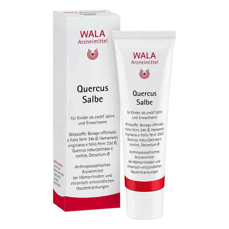 Wala Quercus Salbe 30 g von WALA Heilmittel GmbH PZN 01448458