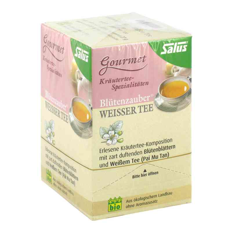Weisser Tee Blütenzauber Bio Salus Filterbeutel 15 stk von SALUS Pharma GmbH PZN 03437140
