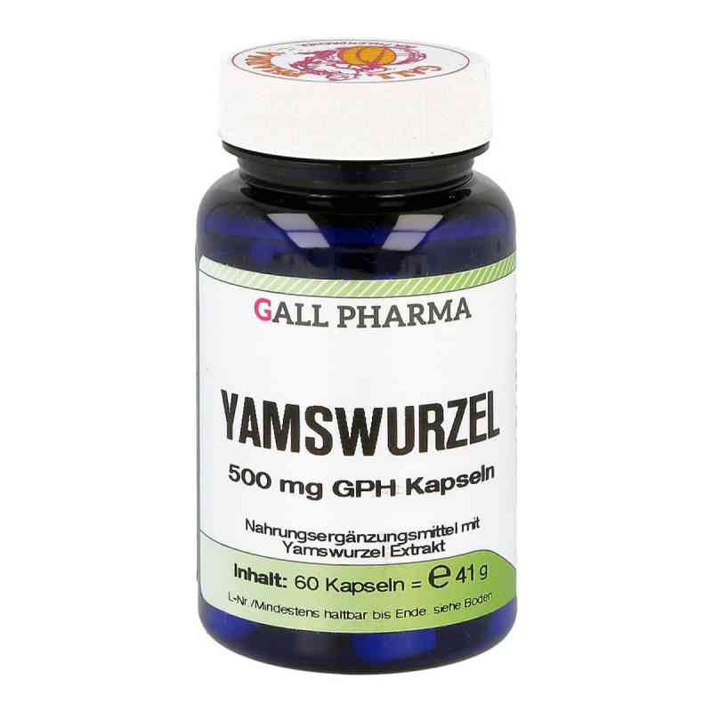 Yamswurzel 500 mg Gph Kapseln 60 stk von GALL-PHARMA GmbH PZN 03378294