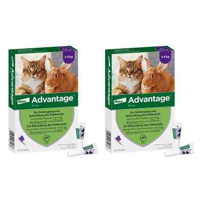 Advantage 80 mg für gr.Katzen und gr.Zierkaninchen