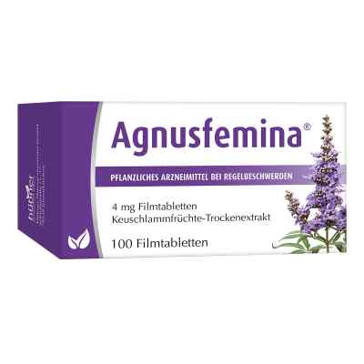 Agnusfemina 100 stk von Hübner Naturarzneimittel GmbH PZN 03781363