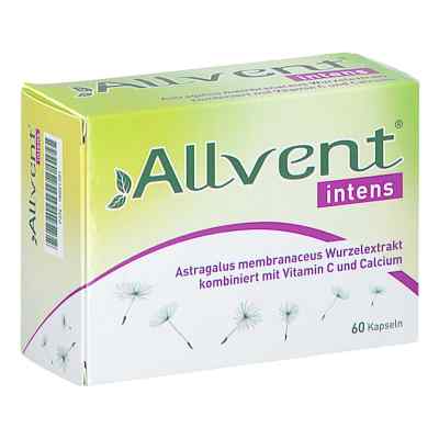 Allvent Intens