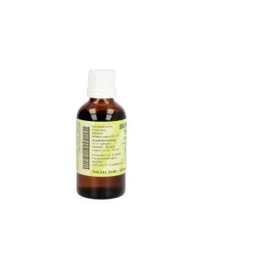 Berberis Tropfen 50 ml von Fritz Zilly GmbH PZN 04560368
