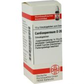 Cardiospermum D200 Globuli 10 g von DHU-Arzneimittel GmbH & Co. KG PZN 07595019