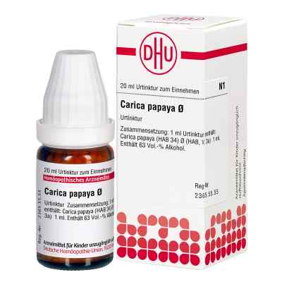 Carica Papaya Urtinktur 20 ml von DHU-Arzneimittel GmbH & Co. KG PZN 02610085