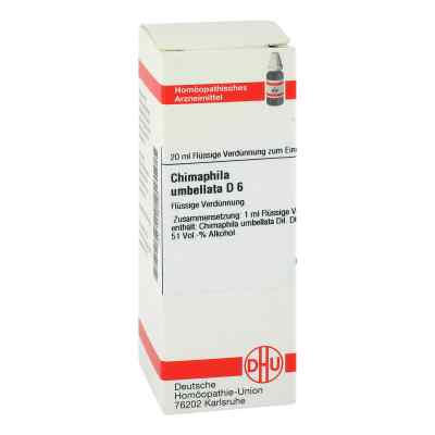 Chimaphila Umbellata D6 Dilution 20 ml von DHU-Arzneimittel GmbH & Co. KG PZN 07164443