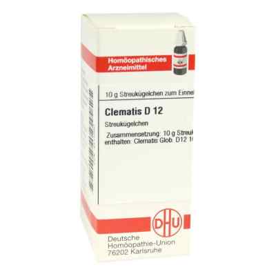 Clematis D12 Globuli 10 g von DHU-Arzneimittel GmbH & Co. KG PZN 04212880