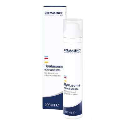 Dermasence Hyalusome Reinigungsgel 100 ml von P&M COSMETICS GmbH & Co. KG PZN 17847692